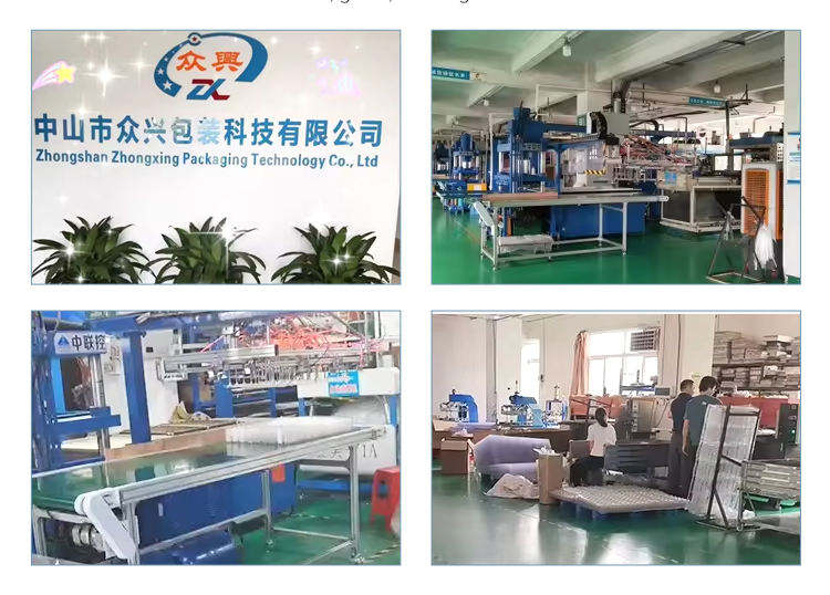 Recyclable PVC PET Transparent Plastic Blister Pack in Different Packaging for industry