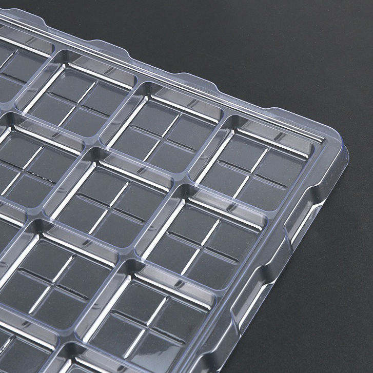 Benutzerdefinierte Blasenverpackungsschale mit großer Fähigkeitspille Blisterverpackungsfach