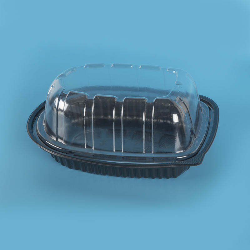 plastic food packaging